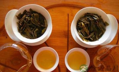 普洱茶的制作工艺及品鉴