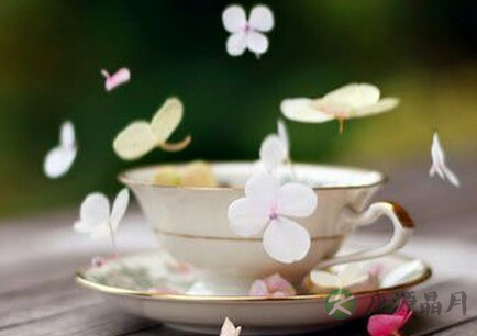 茶叶养生之古籍说茶