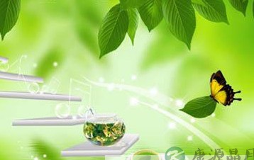花草茶养生需对症