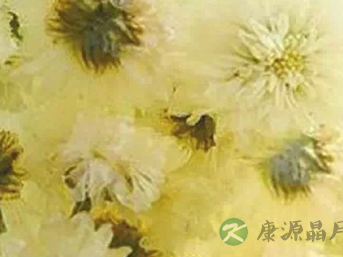 夏季上火喝什么茶 清热降火茶美容又养颜