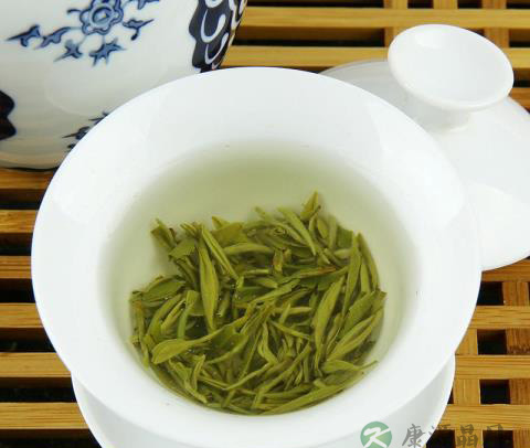 青城雪芽茶功效及作用介绍
