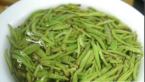 茶叶知识保健篇