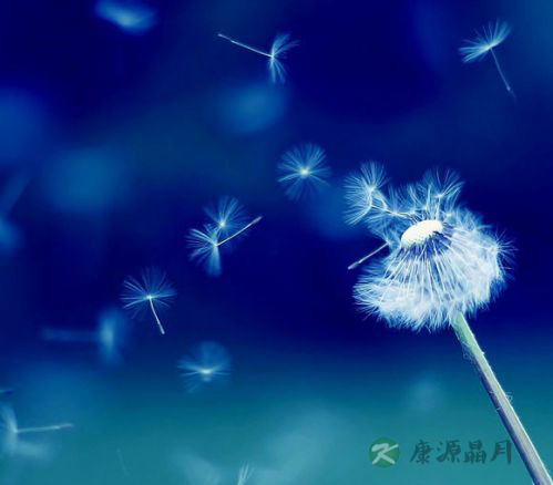 道者至善，善始且善成