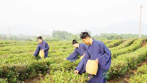 神仙也贵茶：道教与茶文化