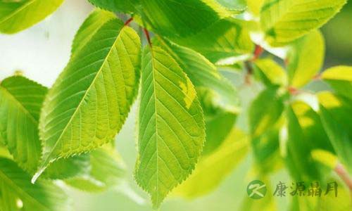 庄子智慧：寿命时间的长短，根据人的知识比量