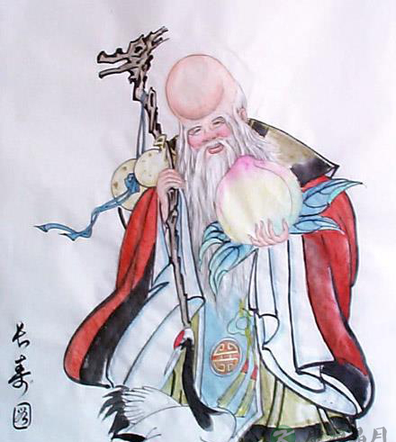 南极仙翁