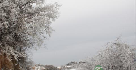 大雪纷飞时，道长的避身之所何在？