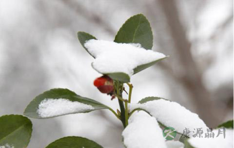 大雪纷飞时，道长的避身之所何在？