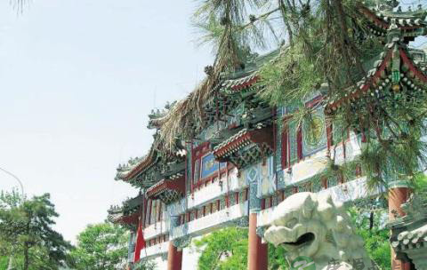 古琴,静静地躺在北京白云观