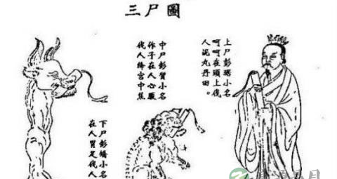 玄洲上卿苏仙君升仙轶事