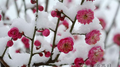 老子智慧：重积德则无不克