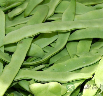 夏季饮食养生 推荐夏季祛湿的五款食物 夏季饮食养生 推荐夏季祛湿的五款食物
