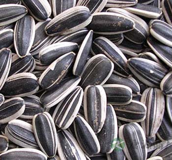 饮食美容 多吃葵花籽仁帮助抗衰老防脚气病