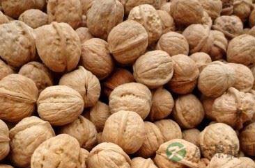 吃什么补肾 最全补肾的食物有哪些