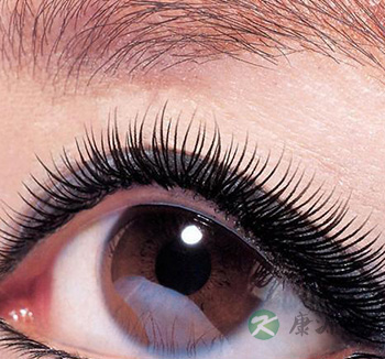 “吃啥补啥” 所谓形补到底靠不靠谱 “吃啥补啥” 所谓形补到底靠不靠谱