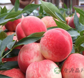 天热没食欲怎么办 夏季吃什么水果开胃