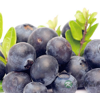 老年人保健养生 有益老年人保健的有哪些食物