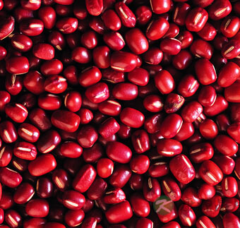 吃什么减肥 七款食谱高效排毒减肥 吃什么减肥 七款食谱高效排毒减肥