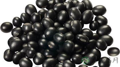 黑豆的功效与作用及食用方法 黑豆的功效与作用及食用方法