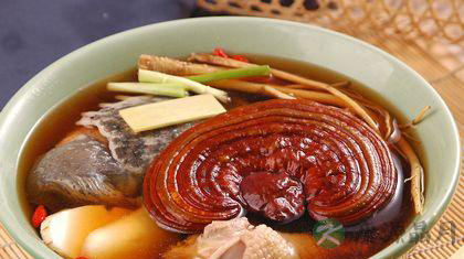 灵芝的功效与吃法