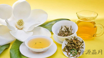 鱼腥草的功效与作用及食用方法