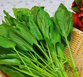 女性体寒吃什么 四类食物抵御寒冷改善体寒 女性体寒吃什么 四类食物抵御寒冷改善体寒