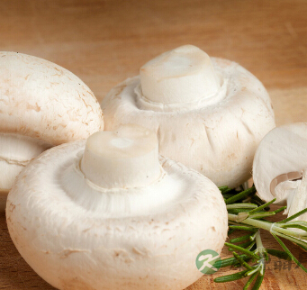 早餐吃什么最有营养 最健康的营养早餐搭配 早餐吃什么最有营养 最健康的营养早餐搭配