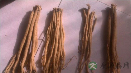 党参的功效及副作用