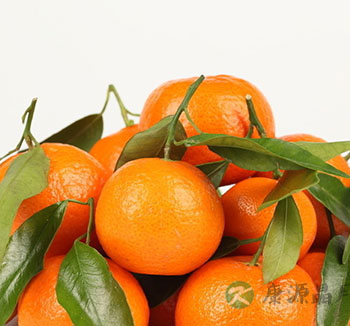 肚子饿了吃什么 肚子饿时不能吃这些东西