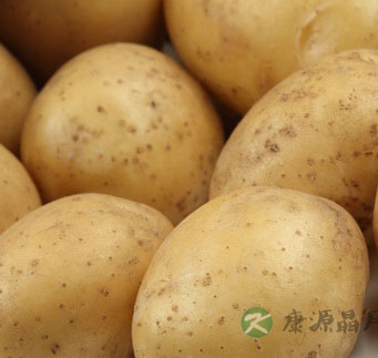 早餐吃什么最有营养 最健康的营养早餐搭配 早餐吃什么最有营养 最健康的营养早餐搭配