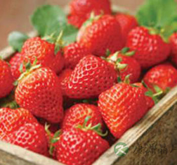 草莓的营养价值和作用有哪些 草莓八作用
