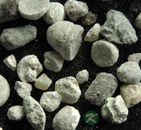 引起慢性支气管的因素 防治其病的中医药方