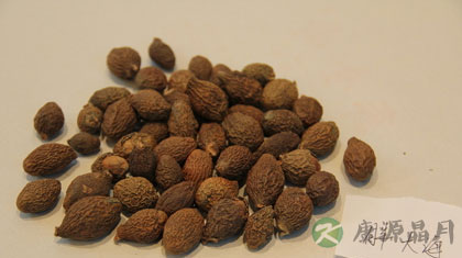 护噪清肺热的胖大海 没病别喝