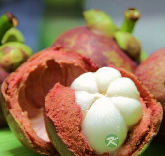 山竹怎么吃 山竹这样吃才美味 山竹怎么吃 山竹这样吃才美味