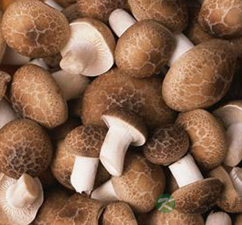 抗癌的食物有哪些 八种经常被你忽视的抗癌食物