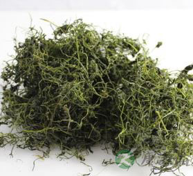 名贵中药材绞股蓝 绞股蓝的功效与药用价值