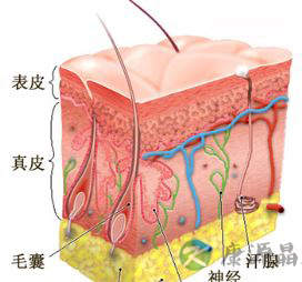 保养皮肤的第一道防线皮脂膜应该如何护理？