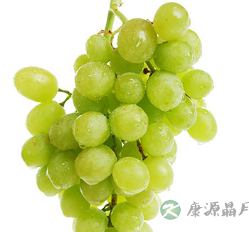 老年养生 老年人夏季养生保健遵循哪些原则?