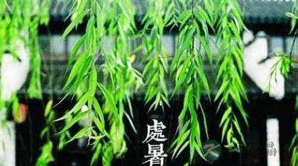 处暑易得什么病 处暑养生吃什么