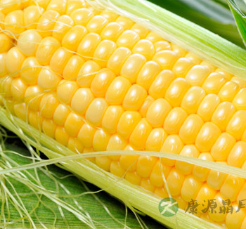 粗粮减肥已成时尚 推荐3款玉米减肥食谱