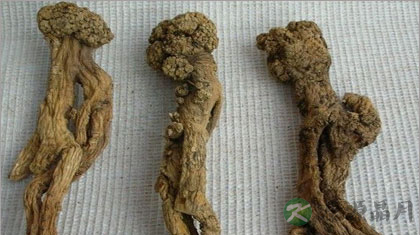 党参的功效及副作用