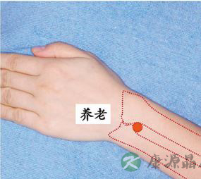 人体12大经络之一 小肠经穴位的治疗作用