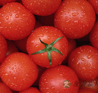 什么东西解酒 4大密招教你如何酒后养生? 什么东西解酒 4大密招教你如何酒后养生?