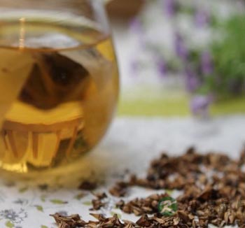 喝什么茶对胃好 养胃的茶有哪些 喝什么茶对胃好 养胃的茶有哪些