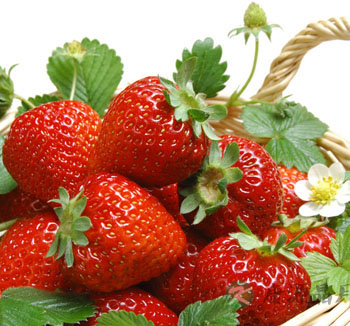 孕妇便秘怎么办 孕妇便秘吃什么水果好 孕妇便秘怎么办 孕妇便秘吃什么水果好