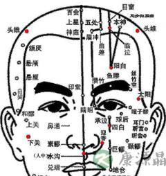 焦式头针疗法 各刺激区的定位及主治疾病