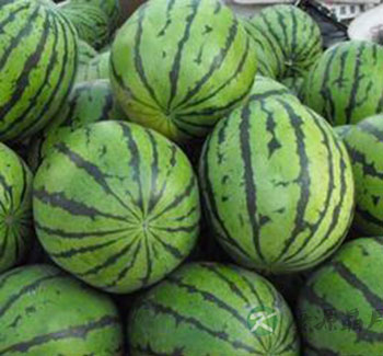 七月食瓜清热解暑 夏季必吃哪些瓜？