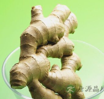 吃什么养胃 养胃的食物有哪些? 吃什么养胃 养胃的食物有哪些?