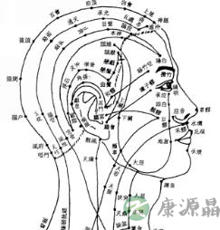 焦式头针疗法 各刺激区的定位及主治疾病