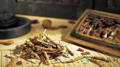 中药养生先辨清体质再进补